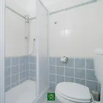 Albatros 4*