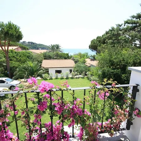 Albatros Apart Otel